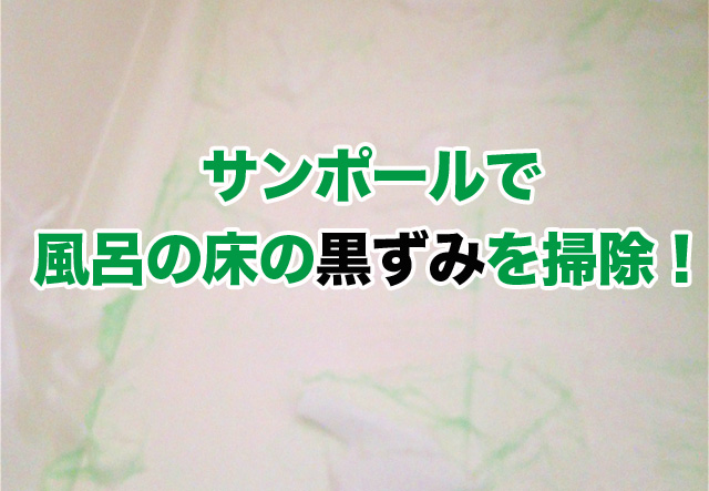 風呂床の黒ずみにサンポールぶっかけるとキレイになったよ 風呂床掃除 脱線あざらしブログ