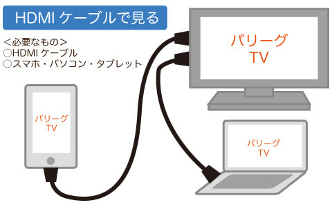 パリーグTVをHDMIケーブルをテレビにつないで見る