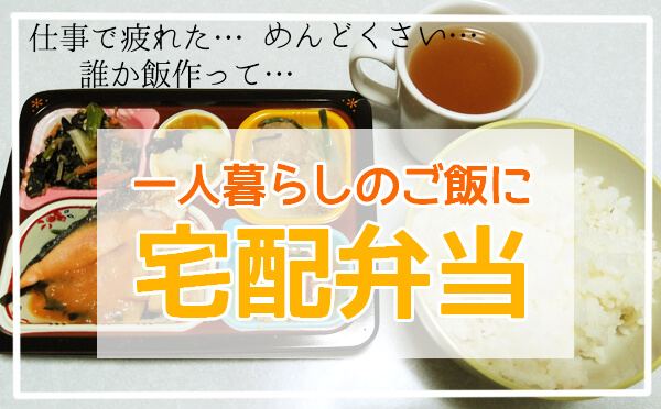 一人暮らしでご飯がめんどくさい時は宅配弁当が便利 自炊の時間がない時にも助かる 脱線あざらしブログ